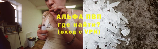 спиды Богородицк