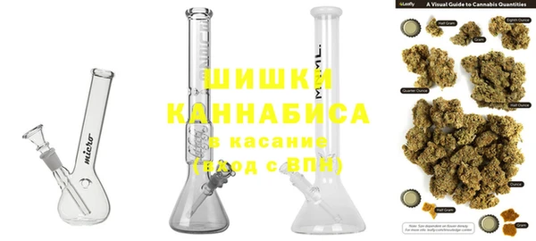 ECSTASY Бородино
