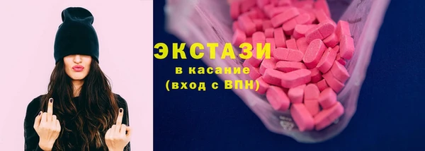ECSTASY Бородино