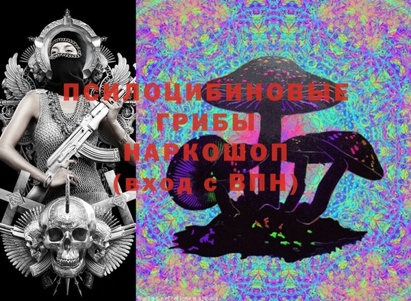 гидропоника Бугульма