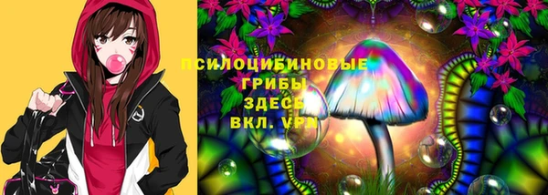 спиды Богородицк
