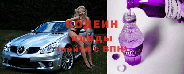 ECSTASY Бородино