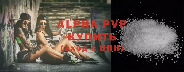 трава Сатка