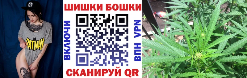 Бошки марихуана индика  закладки  Дзержинский 